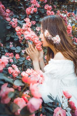 滤镜电视剧免费观看全集高清