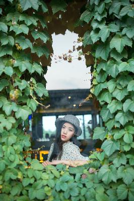 好好生活电视剧免费观看完整版