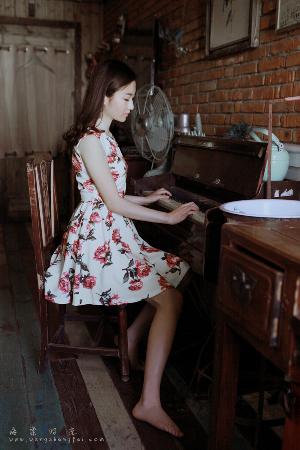 沉默的荣耀电视剧免费观看