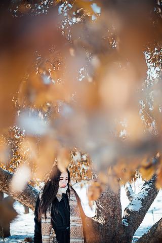 夜莺影院免费高清电视剧在线观看