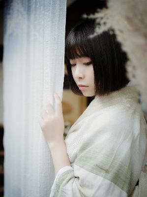 俄罗斯引擎YANDEX进入