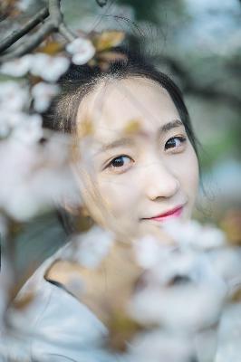 免费观看电视剧大全